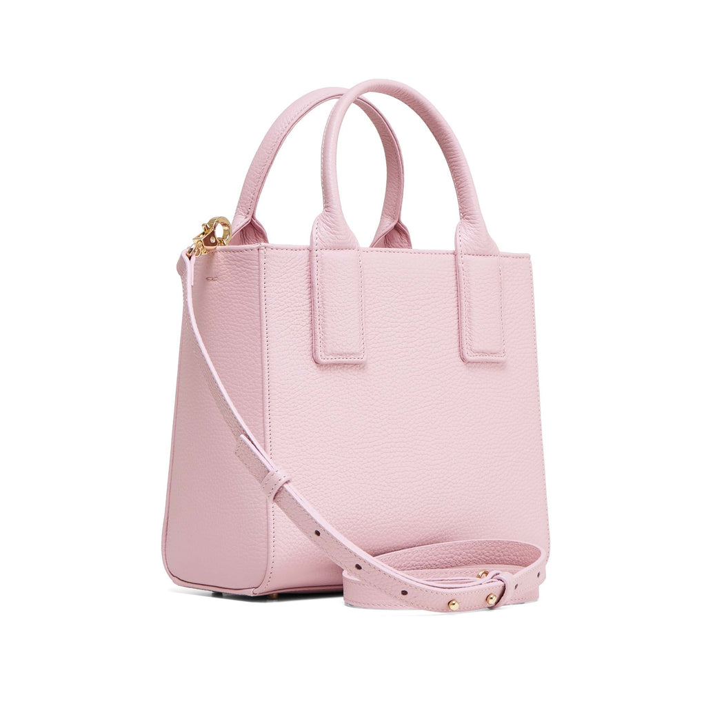 MIDI Q Camelia