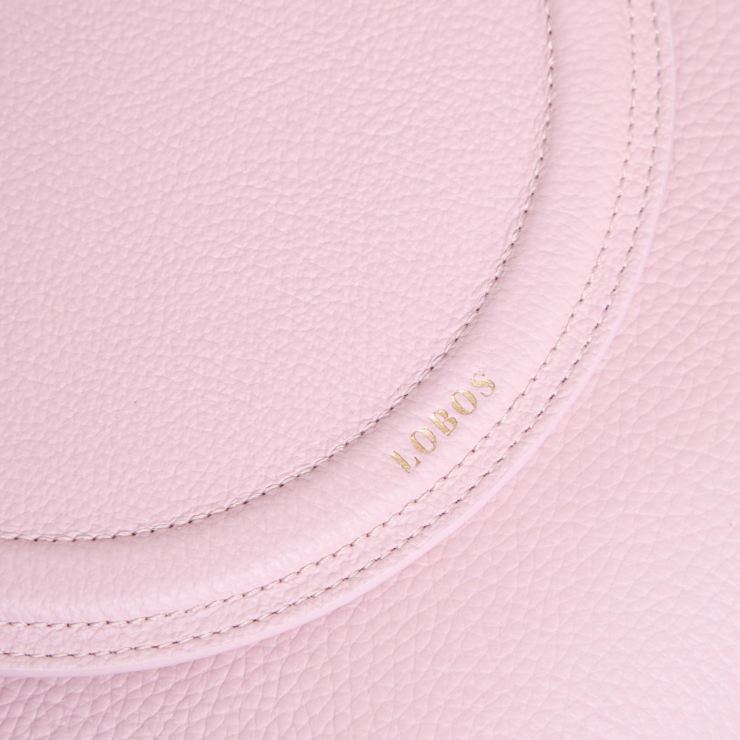 MIDI Q Camelia