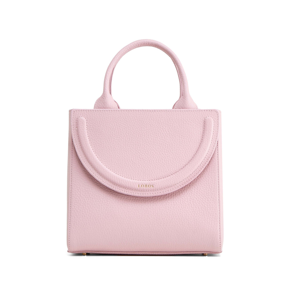 MIDI Q Camelia