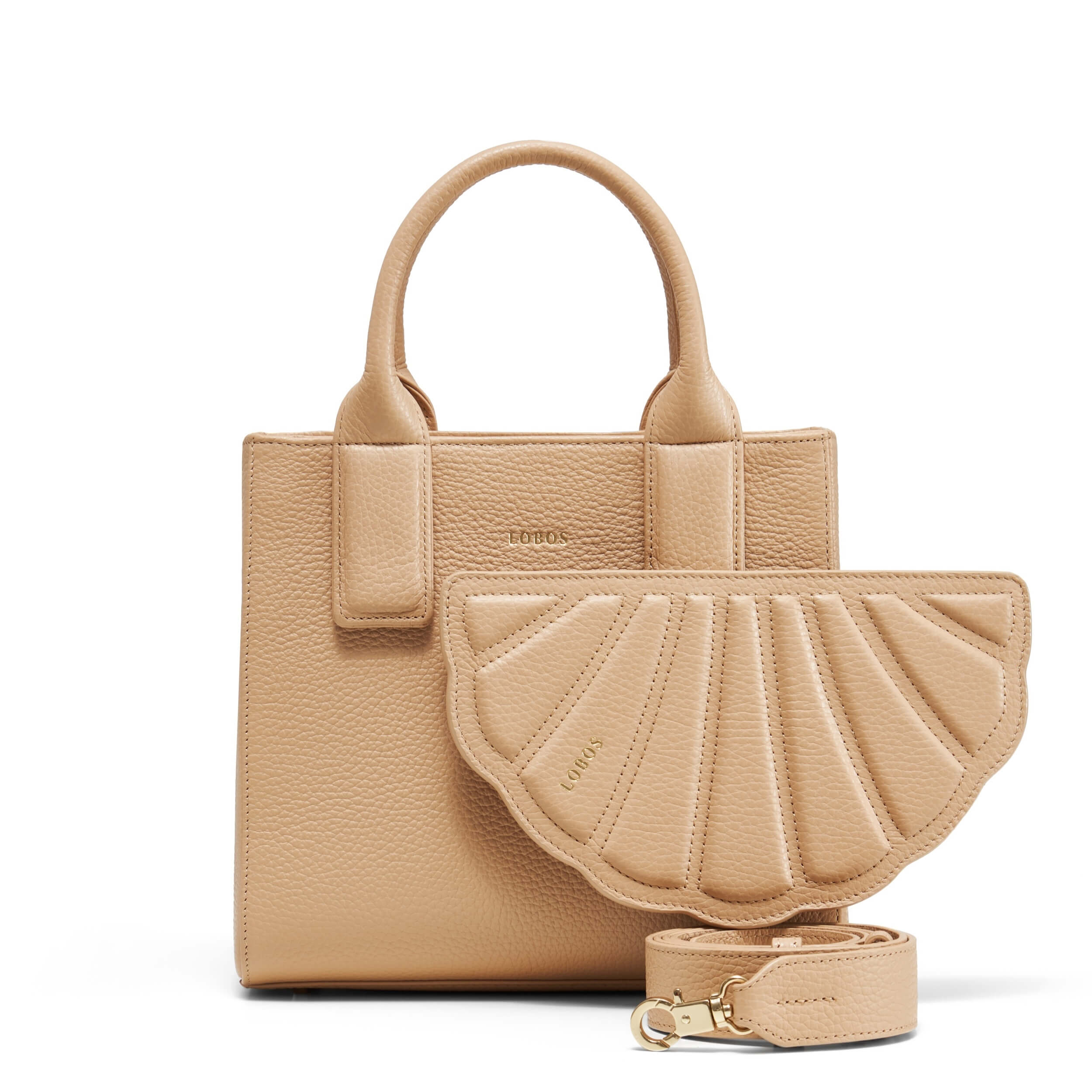 <tc>MIDI Q Seaside Shell</tc>