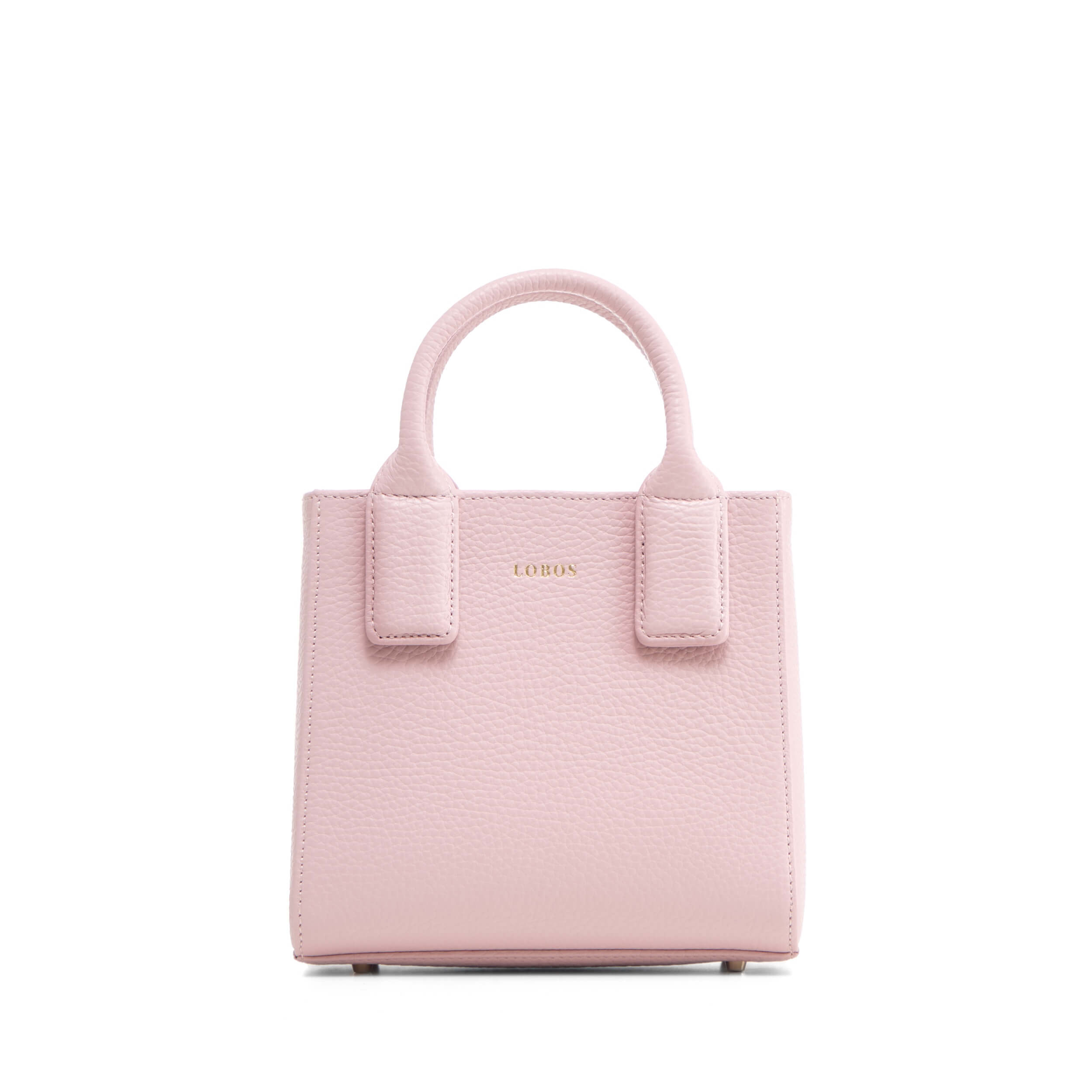 MINI Q Camelia