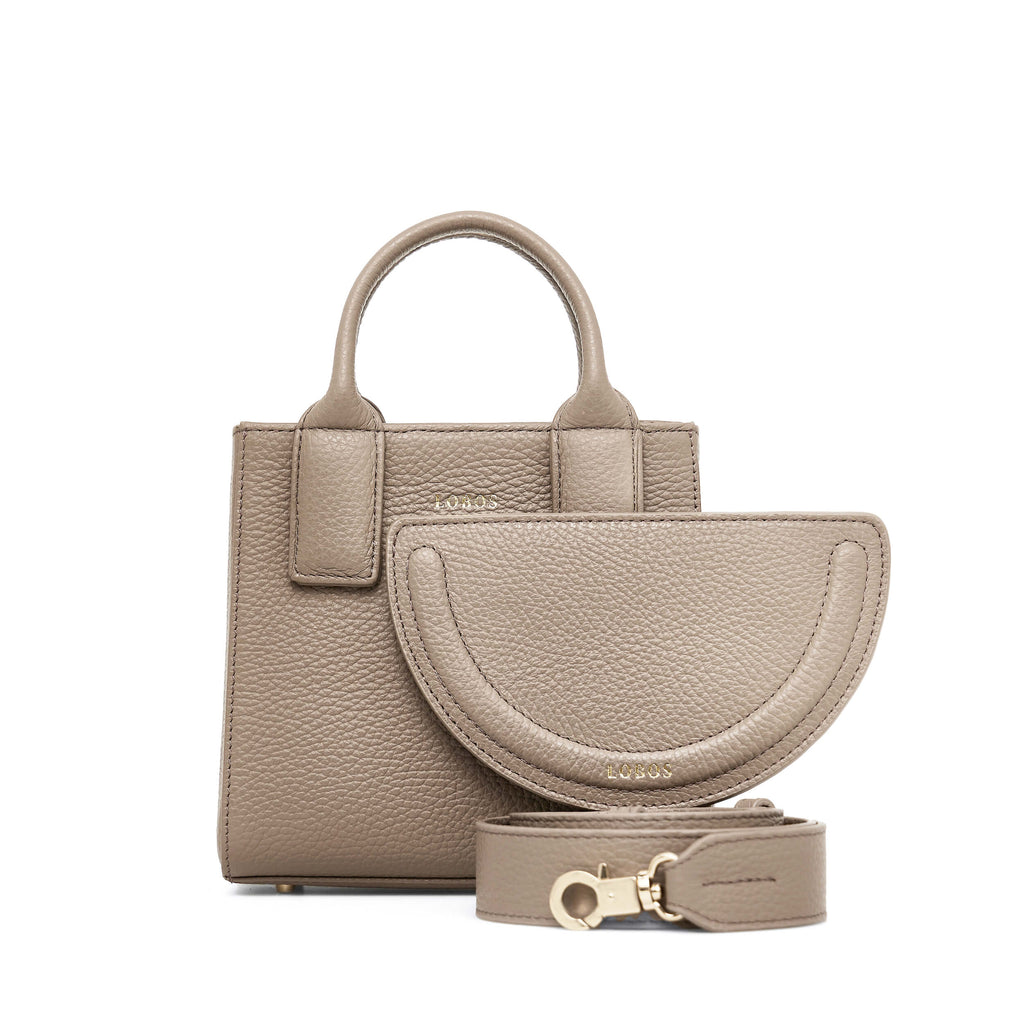 <tc>MINI Q Fossil</tc>