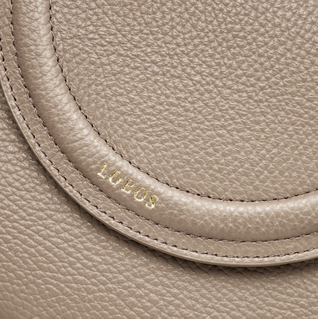 <tc>MINI Q Fossil</tc>