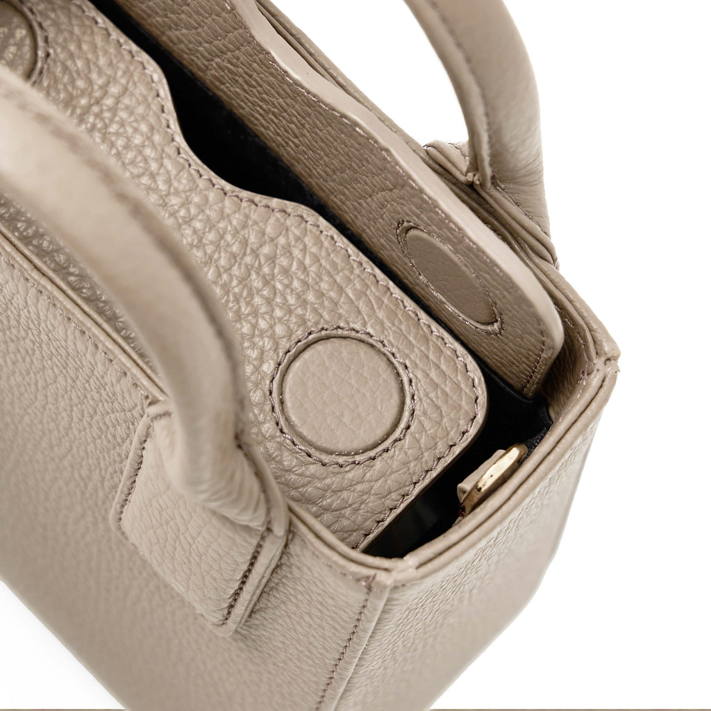 <tc>MINI Q Fossil</tc>